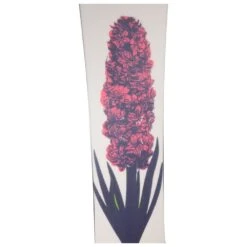 Planche Snowboard Oxbow Hyacinth -Boutique Dynafité 1a01dca6ca5dc409449325a9ec3c5899999d735f H23OXBOBOA261209 OXBO0044308 905